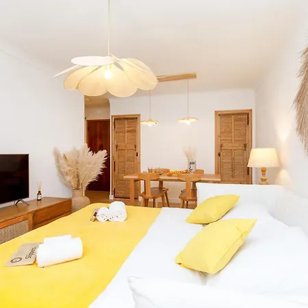 Hippie Palm Yourhosthelper Apartment Cannes